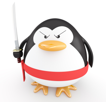 Ninja Penguin