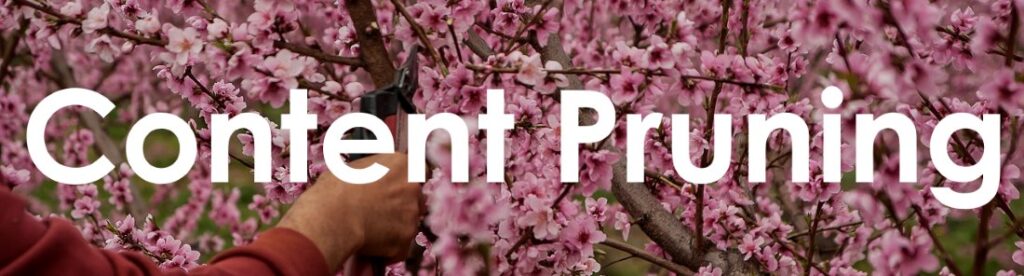 Content Pruning