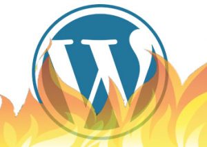 WordPress-Spam