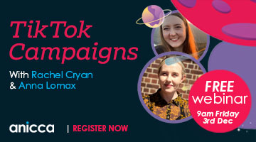 TikTok Campaigns