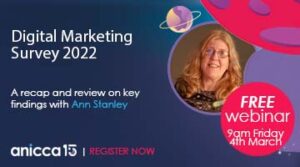 Digital Marketing Survey 2022