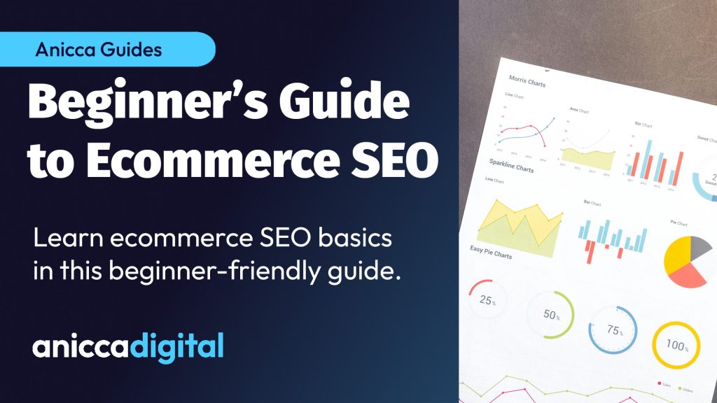 Beginner's SEO Ecommerce Guide