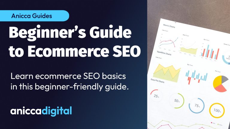 Beginner's SEO Ecommerce Guide