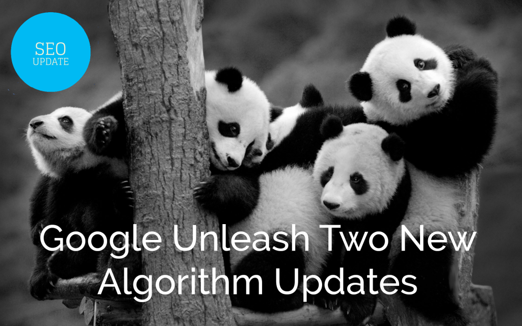 Google Unleash Two New Algorithm Updates