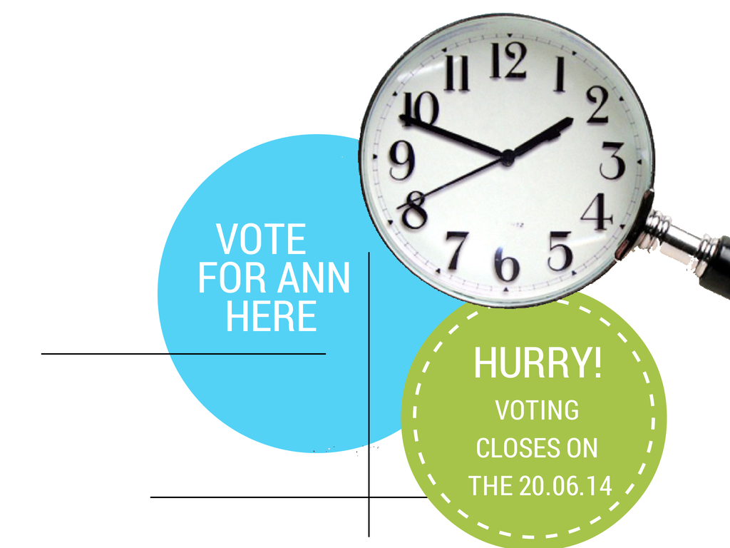 Vote for Ann Stanley; Top 100 Experts in Search